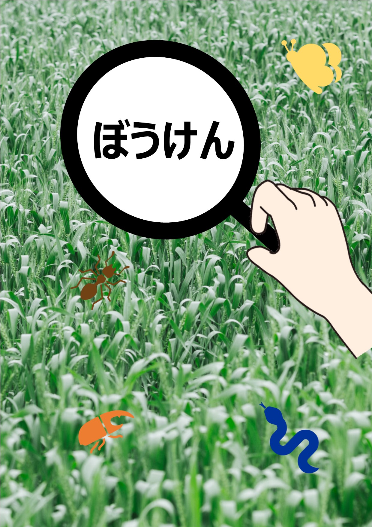 与野南図書館　２０１９年７月～８月　児童展示　ぼうけん